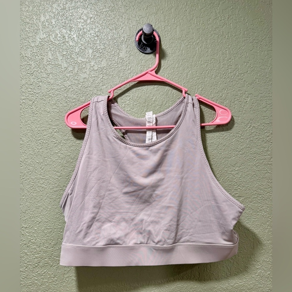 Fabletics Light Purple Sports Bra Size 2X